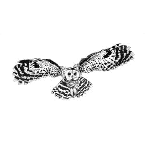 Flying Tawny Owl Archival Print WEB sq 600