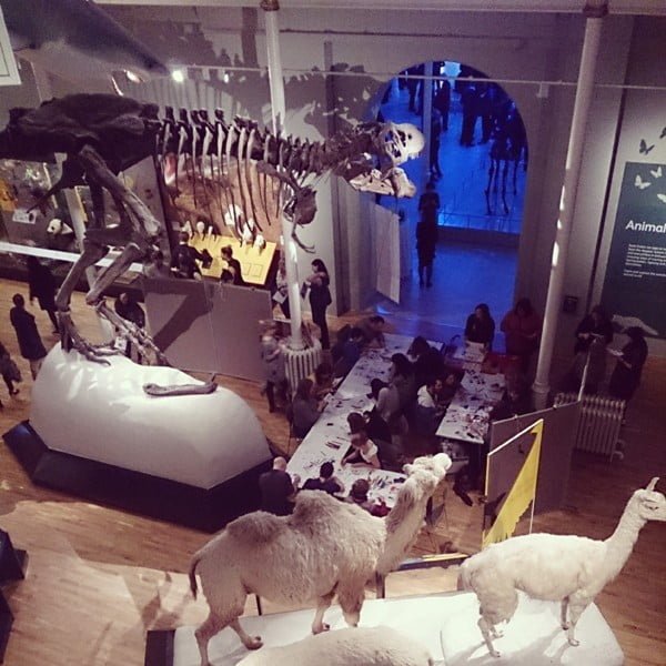 Night of The Mammoth Photos @NtlMuseumsScot @KateMclelland