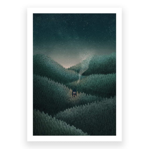 Dark Forest by David Fleck