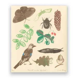 FoundInTheForest1byC.Hiley