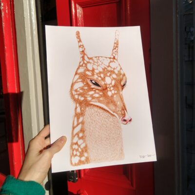 Furry Animal A4 Print