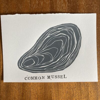 Common Mussel - A5 lino print