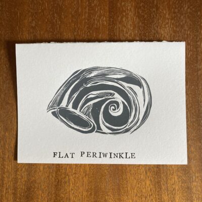 Flat Periwinkle - A5 lino print