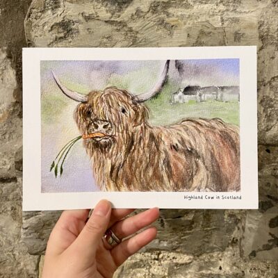 Highland Cow - A5 print