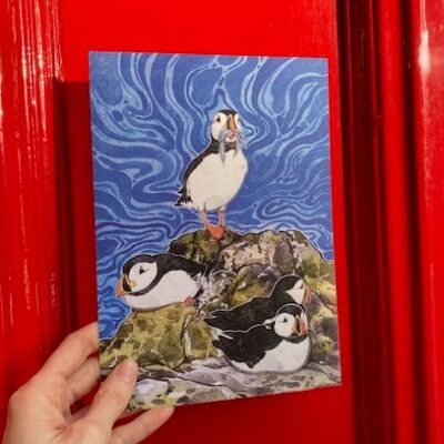 Puffins on Rocks A5 print