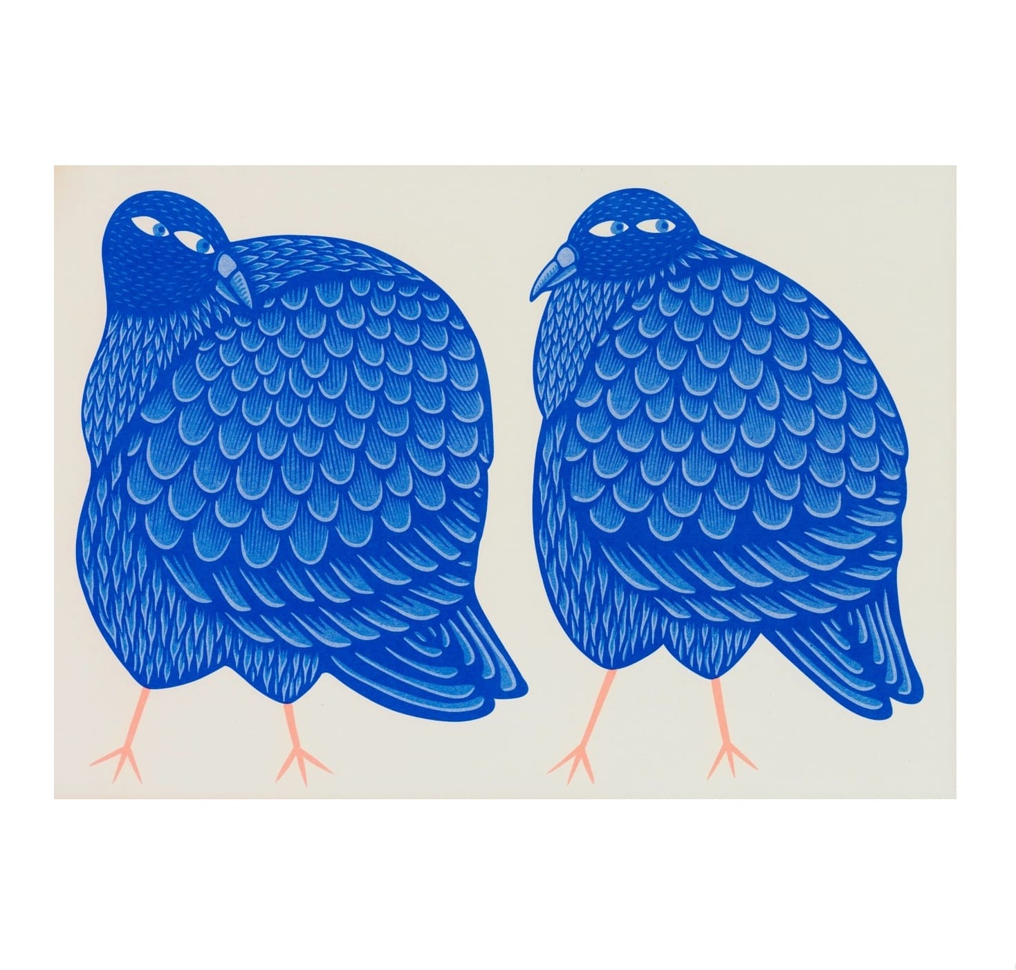 Pigeon Fancier A3 Risograph
