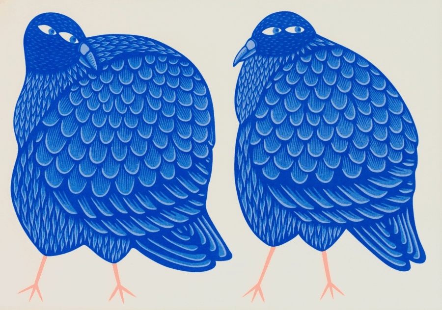 Pigeon Fancier A3 Risograph - Image 2
