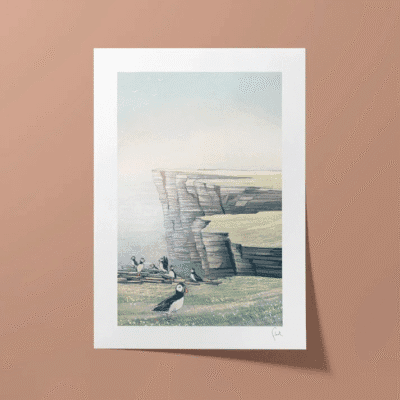Noss (Puffins) A3 Print