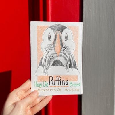 How Do Puffins Breed? Zine