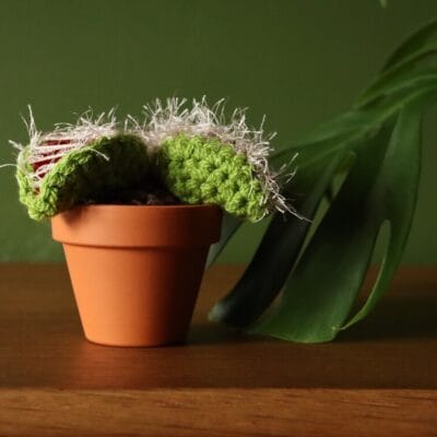Venus Fly Trap Crochet Plant - Medium