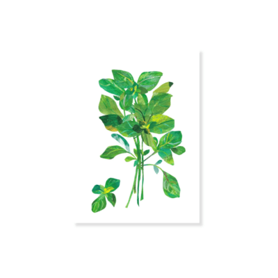 Basil Collage - A4 Digital Print