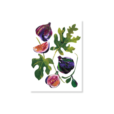 Fig Collage - A4 Digital Print