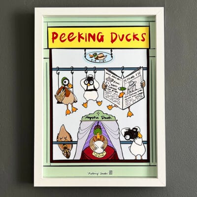 Peeking Ducks - A3 Print