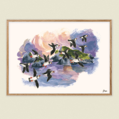 St Kilda Puffins A4 Print