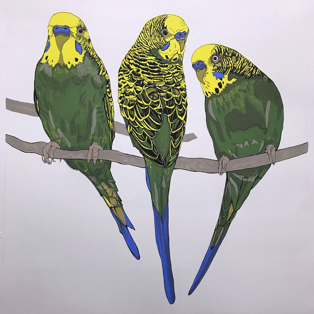Budgerigars Screen Print by Susie Wright