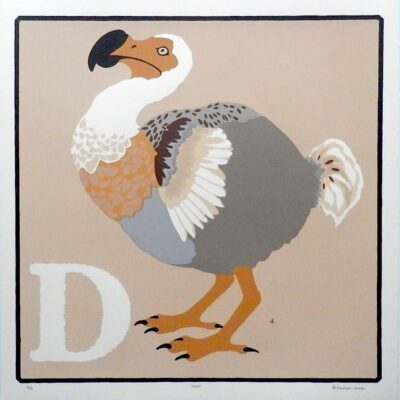 Dodo - A/P