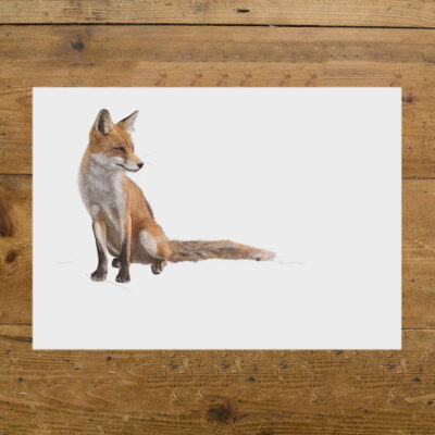 Fox A4 Print
