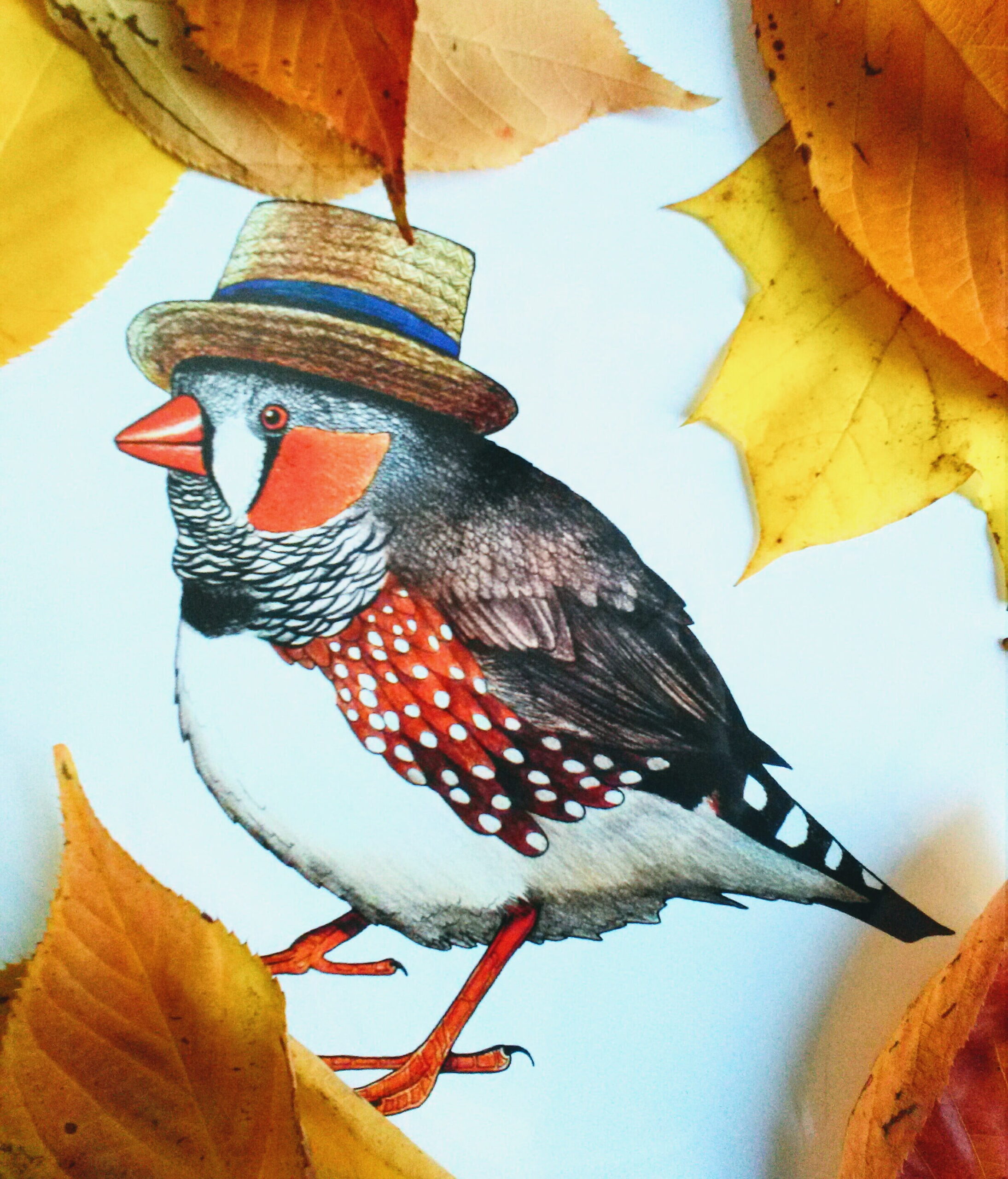 Autumn Tones