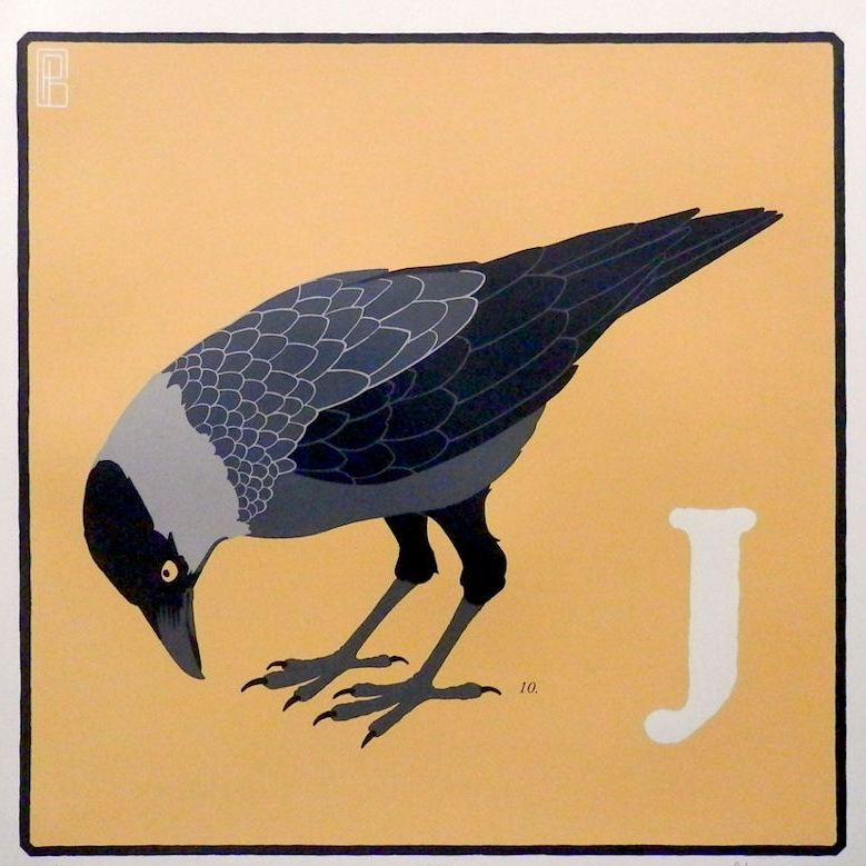 Jack Daw by Patrizio Belcampo
