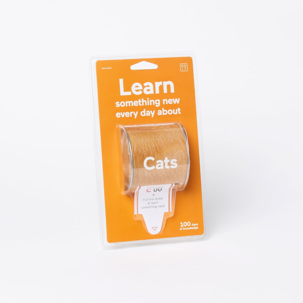 Learn something new about cats