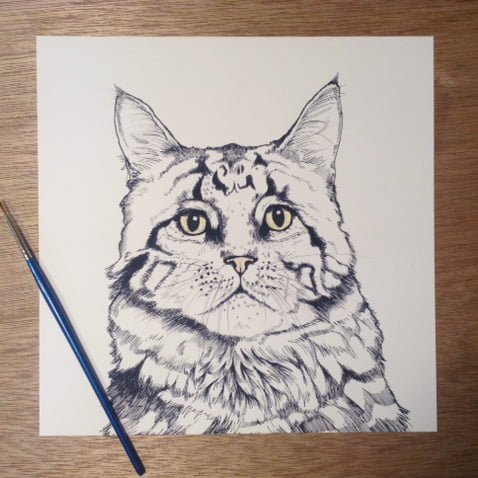 Cats Eyes On You!