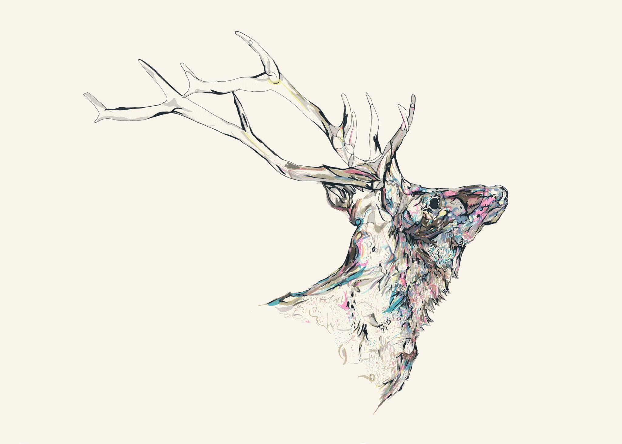 NEW MINERAL STAG