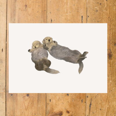 Sea Otters A4 Print by BR