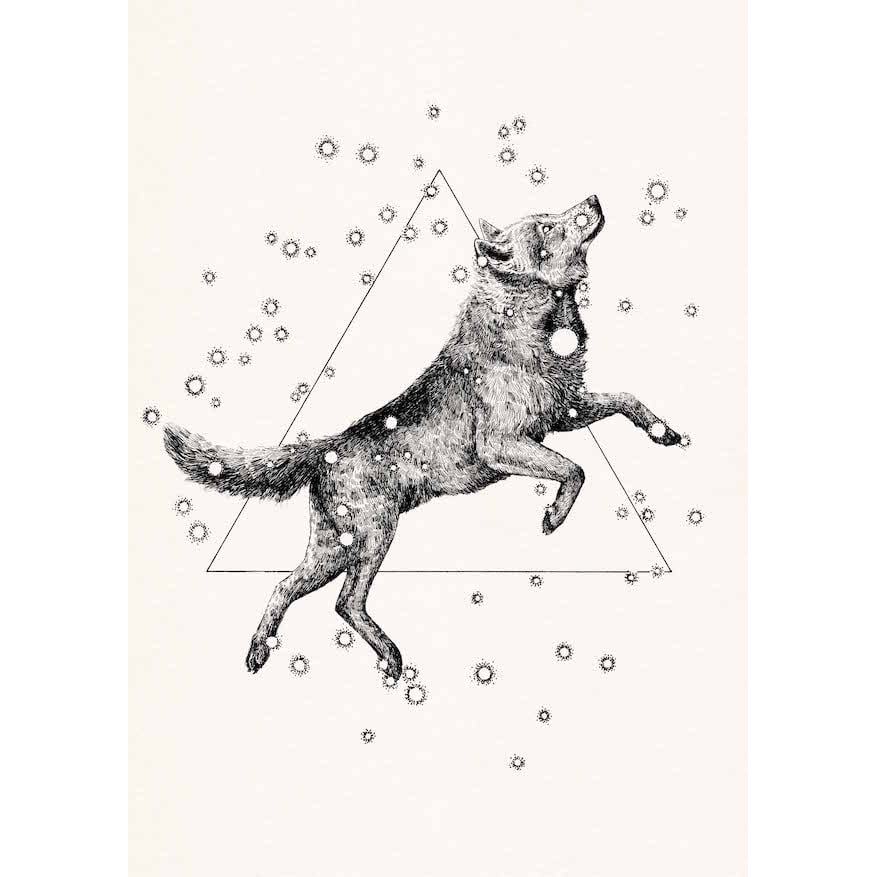 Searching The Stars Dog print by Peter Carrington