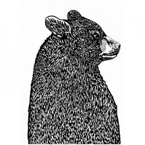 Small-Bear-in-Profile-screenprint-by-Susie-Wright-400x400
