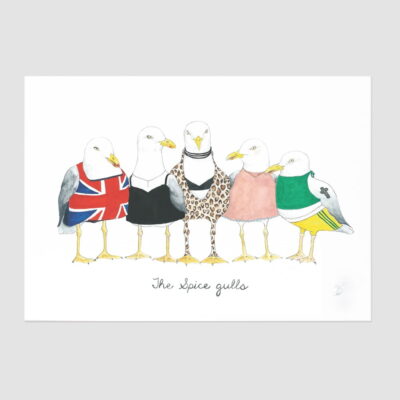 Spice Gulls A4 Print