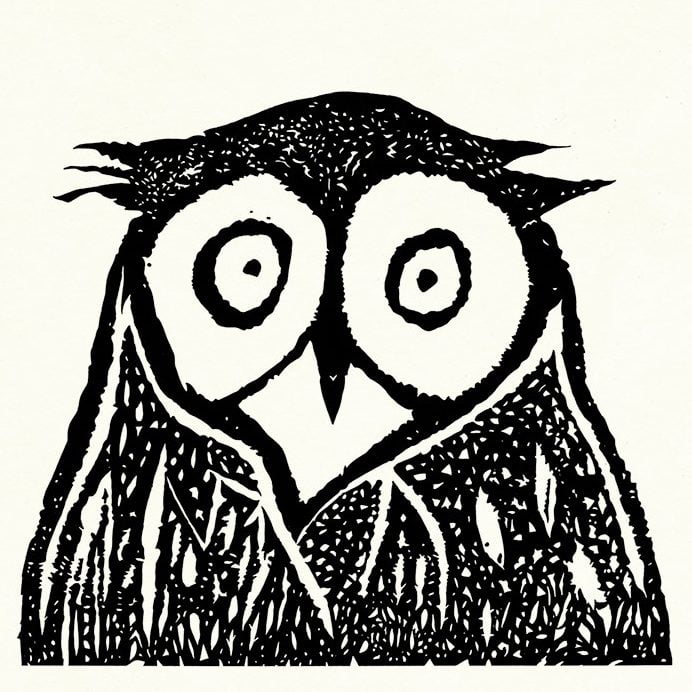 Suprised Owl e1530460767791