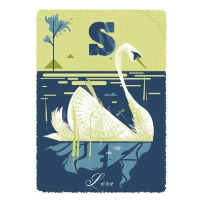 S is for Swan