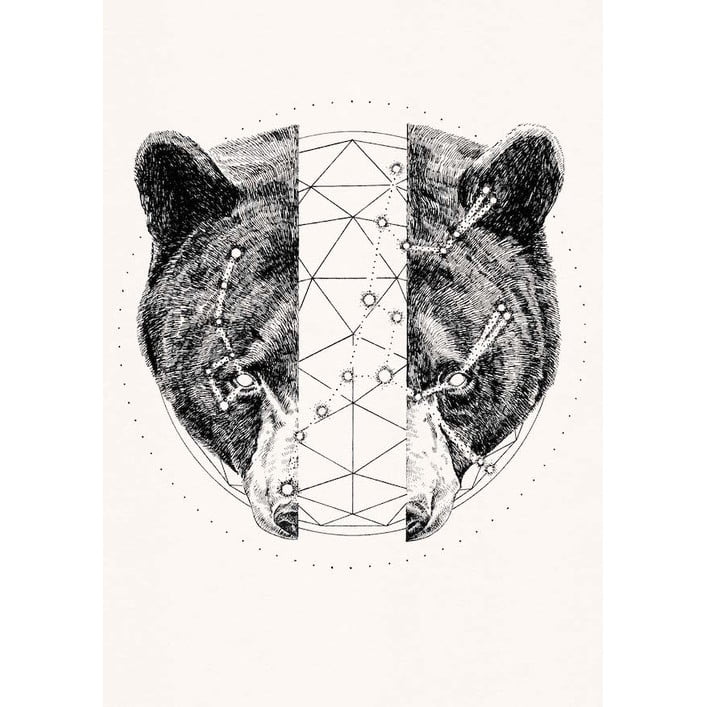 Ursus Major Ursus Minor by Peter Carrington