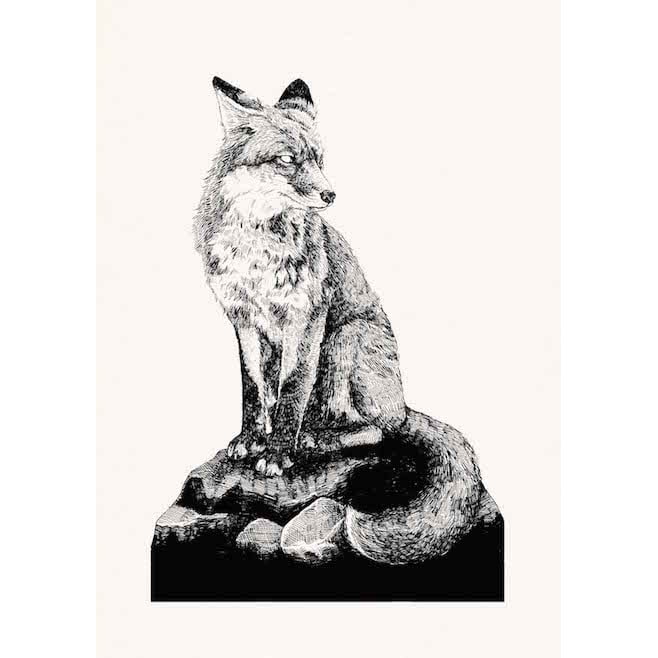 Vulpes Vulpes by Peter Carrington