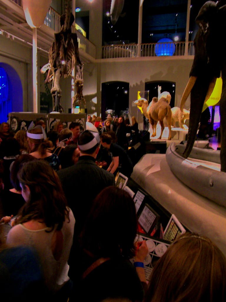 The Red Door Gallery at the Museum Lates Event – Vikings!