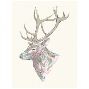 colourful_deer