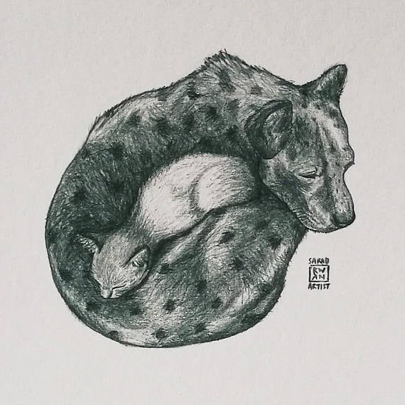 donut hugs cat and dog portrait by sarah kwan
