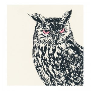 eagle owl pink eyes by susie wright