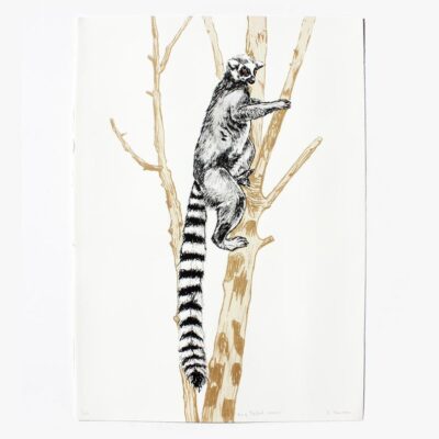 Lemur Screen Print