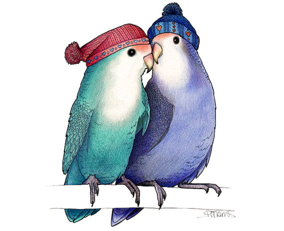 Love Birds by Alice Tams