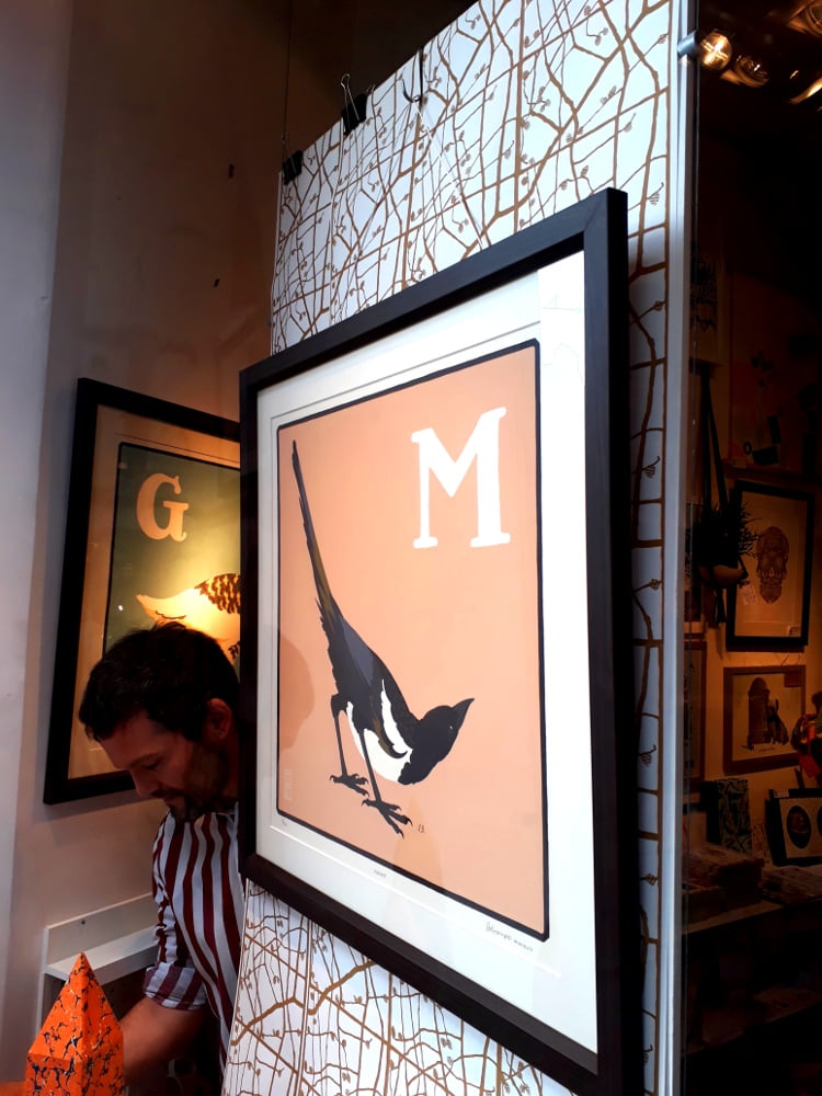 magpie pat wallpaper