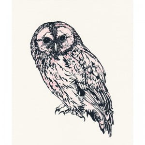 pink owl by susie wright
