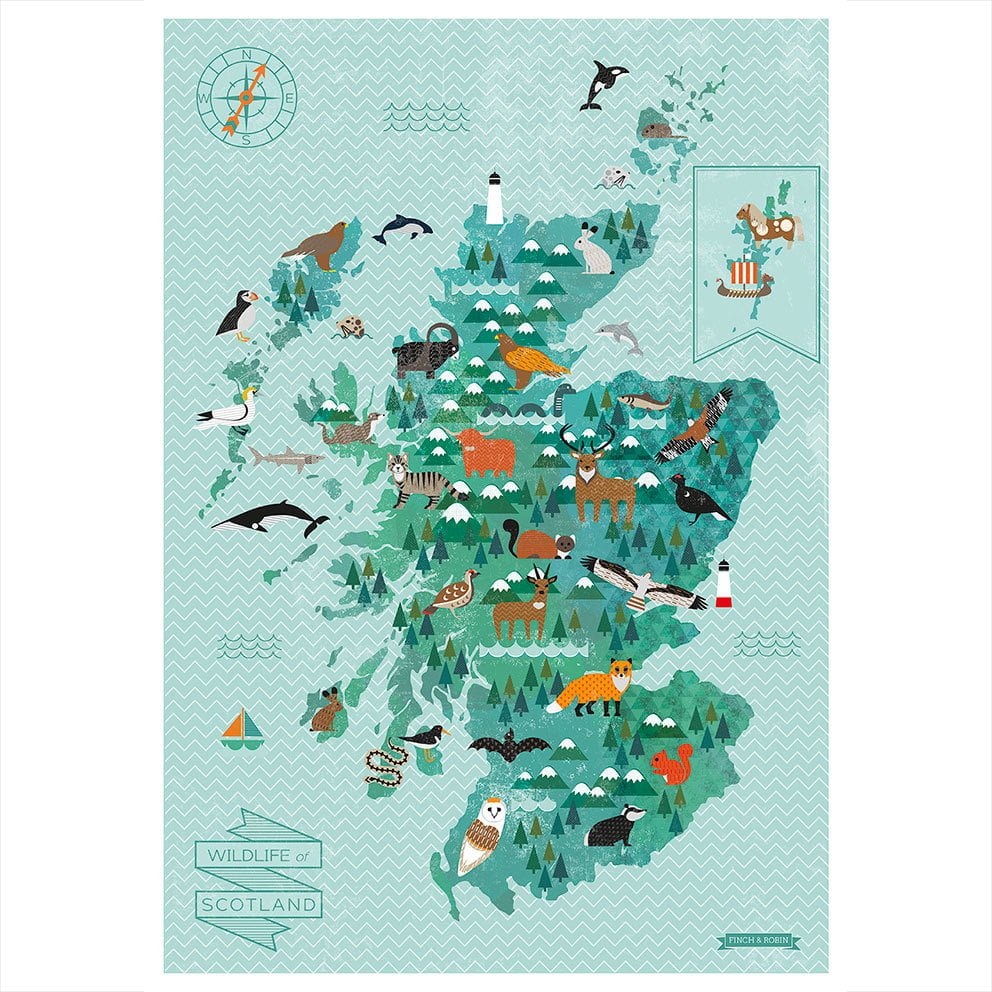 NMS Lates – Unveiling Kate Mclelland’s Wildlife of Scotland Print