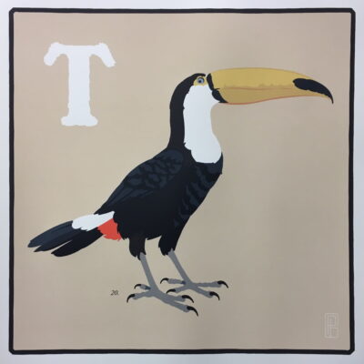 Toucan by Patrizio Belcampo