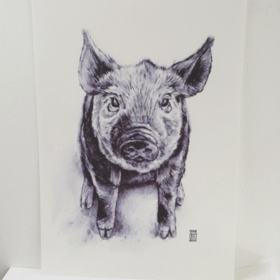 Little Piggy A4 Print